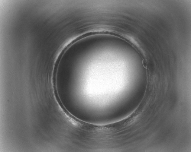 X0000066980943200603241233