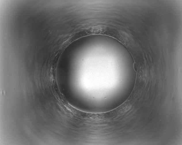 X0000066980962200603241232