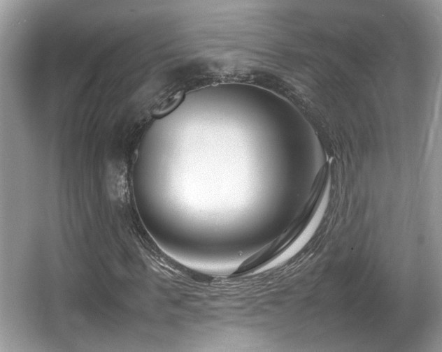 X0000066980963200603241232