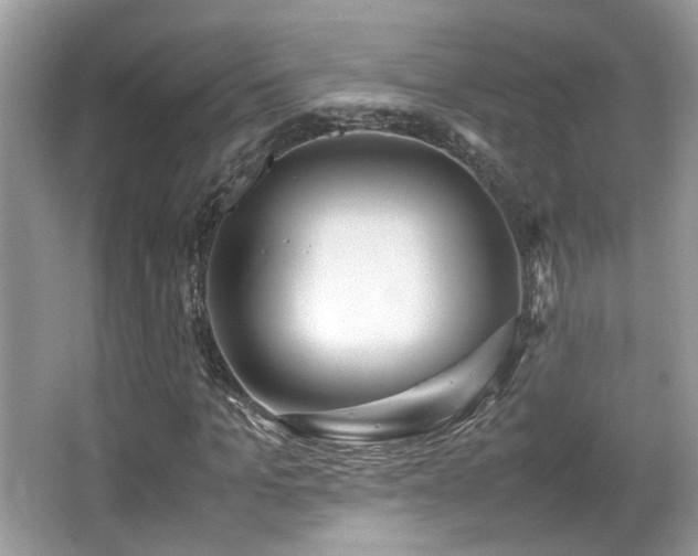 X0000066980965200603241232