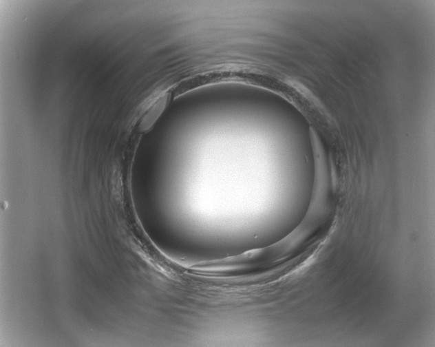 X0000066980969200603241232