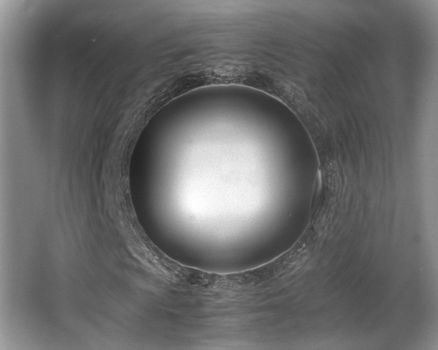 X0000066981009200603241231