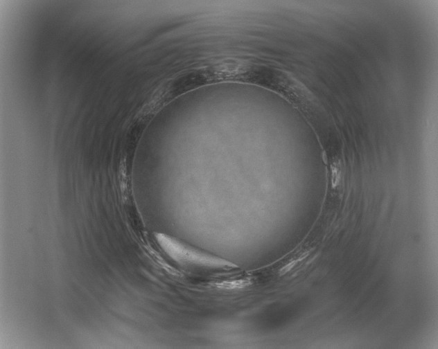 X0000066981011200603241231