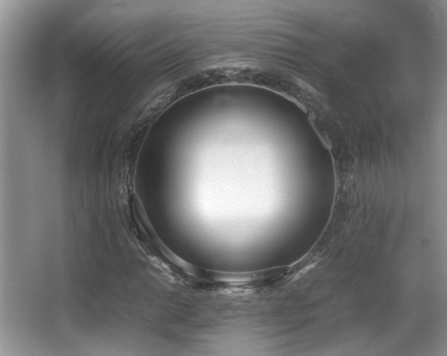 X0000066981014200603241231