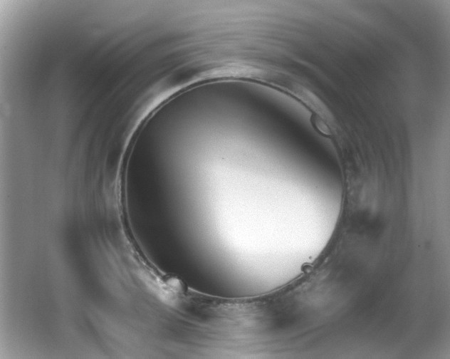 X0000066981044200603241231