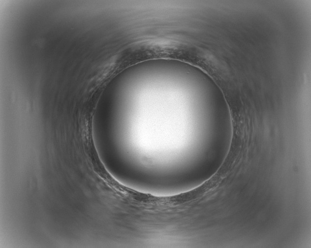 X0000066981061200603241231