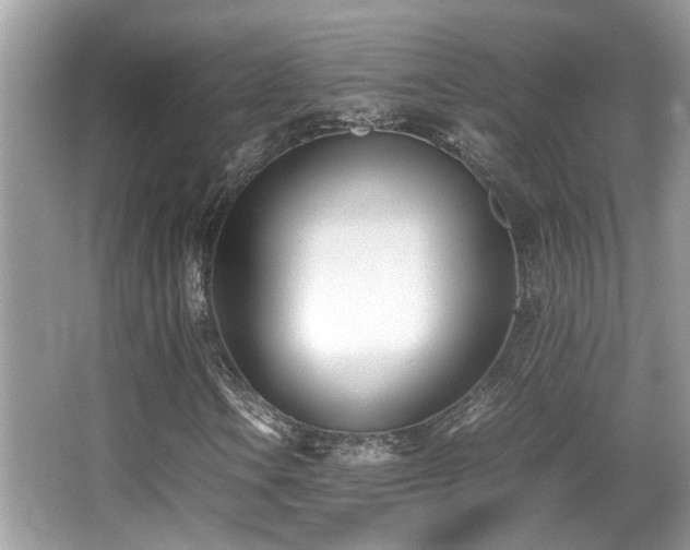 X0000066981106200603241229