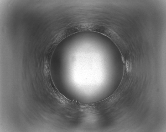 X0000066981107200603241229