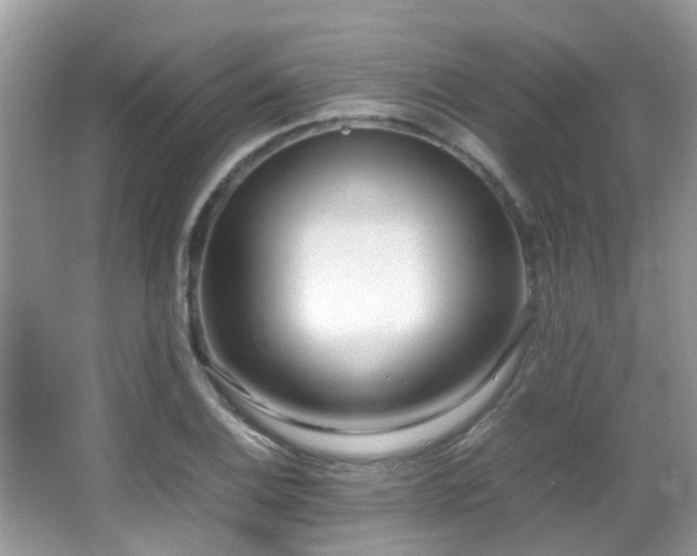 X0000066981124200603241230
