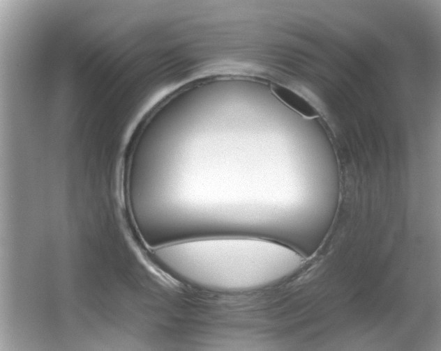 X0000066981128200603241230