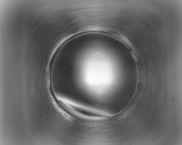 X0000066981132200603241230
