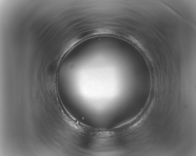 X0000066981137200603241230