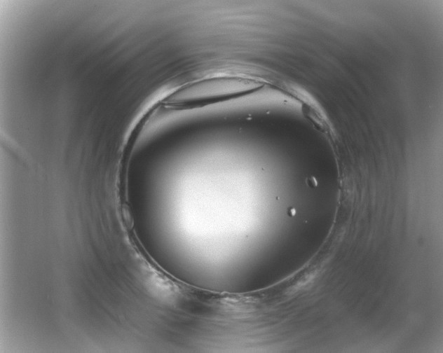 X0000066981138200603241230