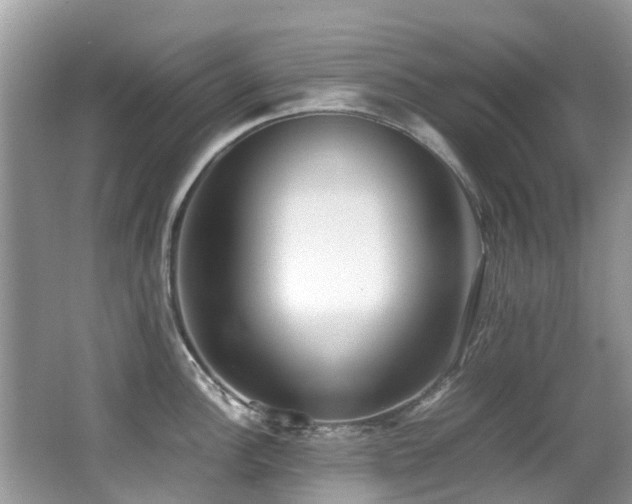 X0000066981148200603241230