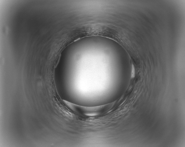 X0000066981153200603241229