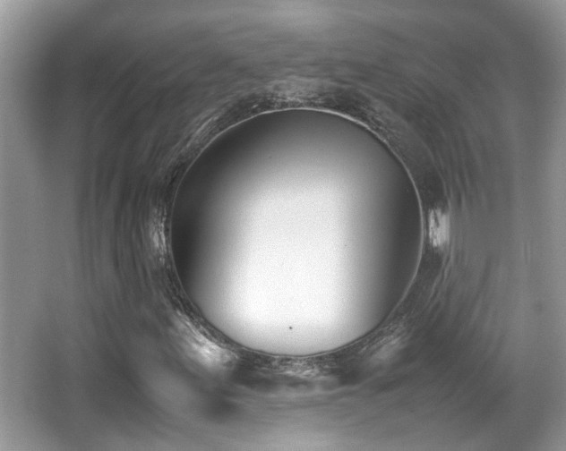 X0000066981155200603241229