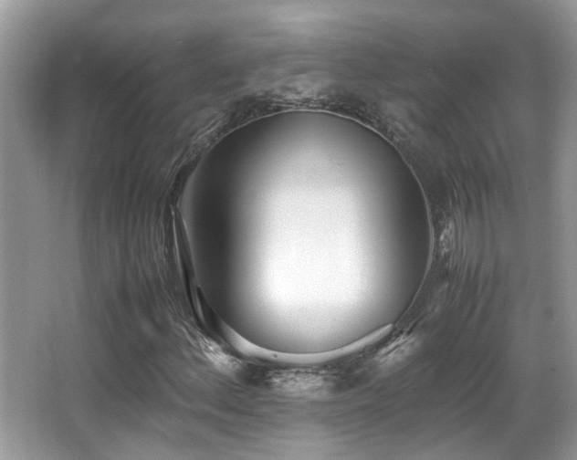 X0000066981156200603241229
