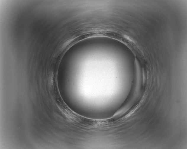X0000066981161200603241229
