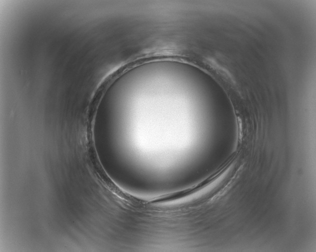 X0000066981166200603241229