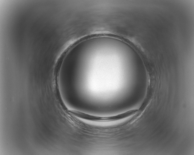 X0000066981167200603241229