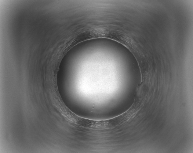 X0000066981201200603241228