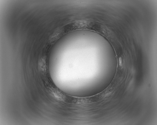 X0000066981203200603241228