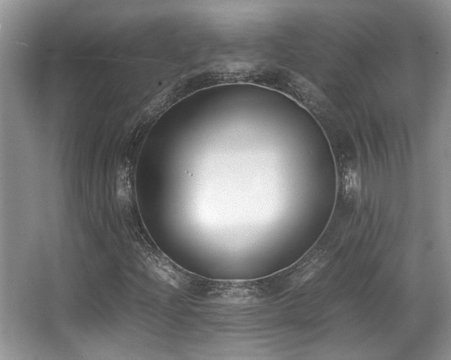 X0000066981204200603241228
