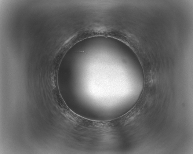 X0000066981205200603241228