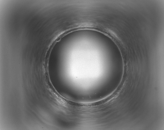 X0000066981212200603241228