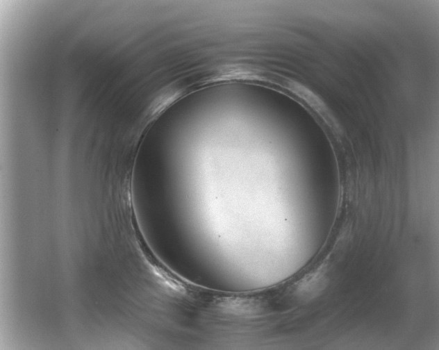 X0000066981241200603241228
