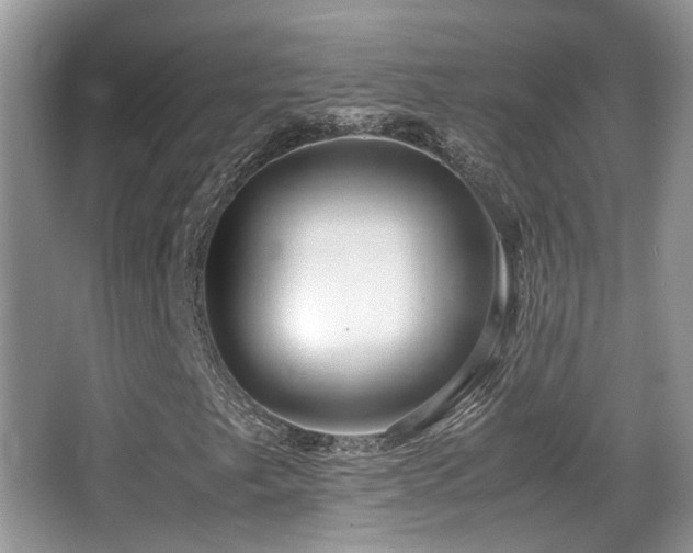 X0000066981249200603241228