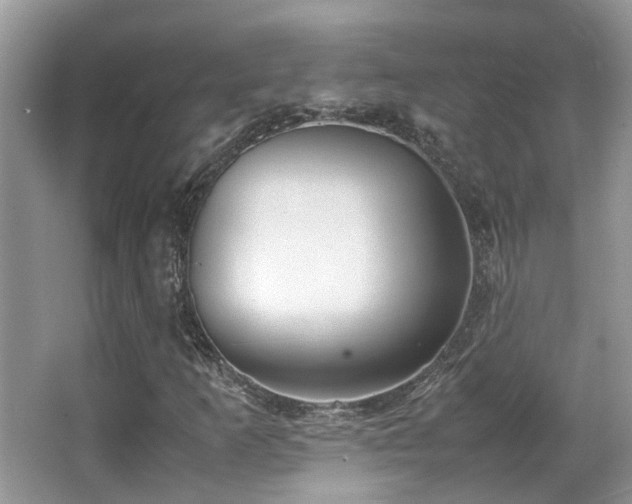 X0000066981253200603241227