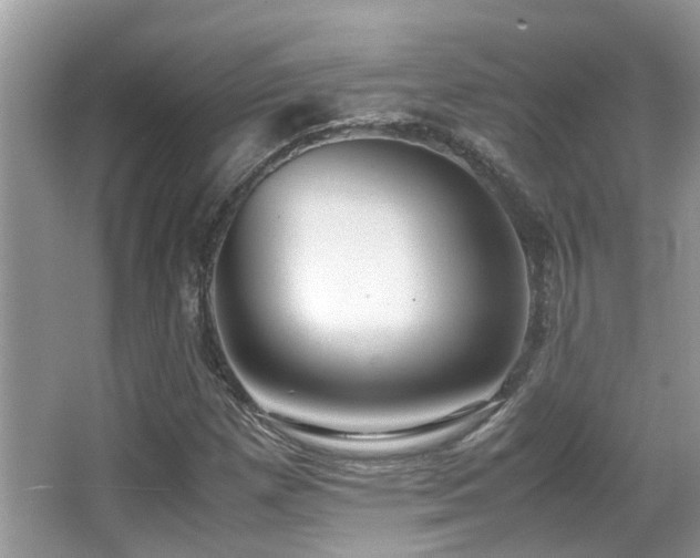X0000066981257200603241227