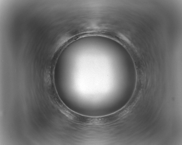 X0000066981259200603241227