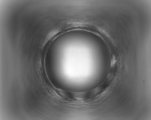 X0000066981261200603241227