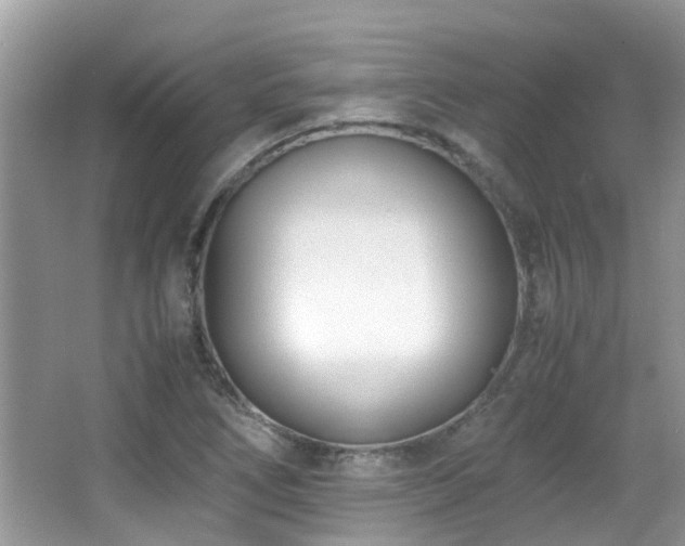 X0000066981266200603241227