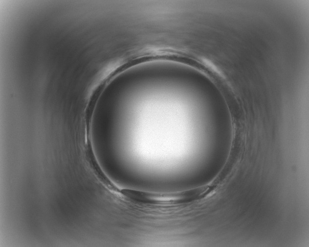 X0000066981269200603241227