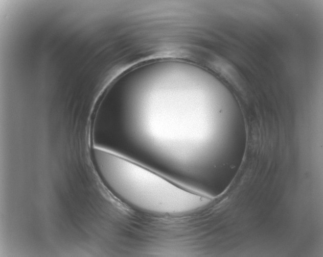 X0000066981276200603241227