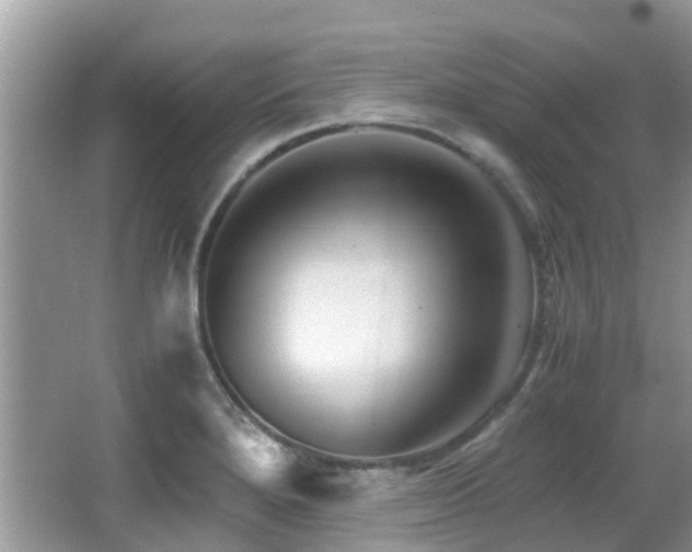 X0000066981280200603241227