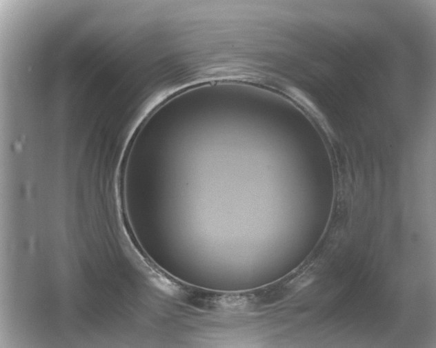 X0000066981291200603241227