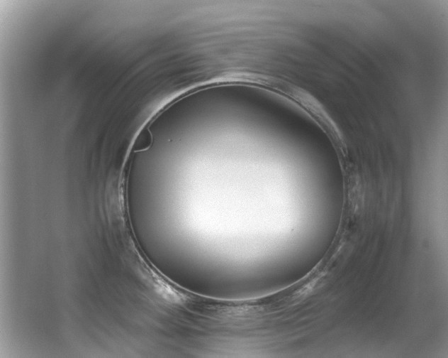 X0000066981292200603241227