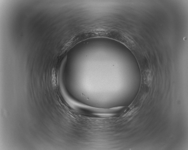 X0000066981298200603241226