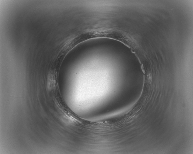 X0000066981300200603241226