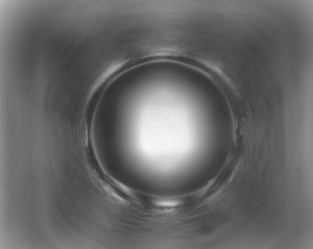X0000066981317200603241226