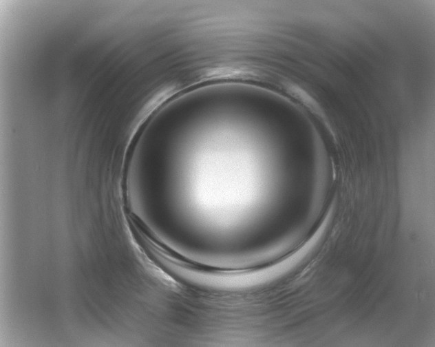 X0000066981330200603241226