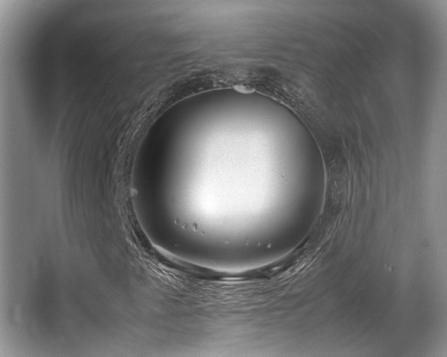X0000066981345200603241226