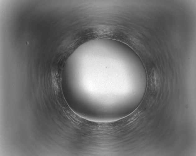 X0000066981346200603241226