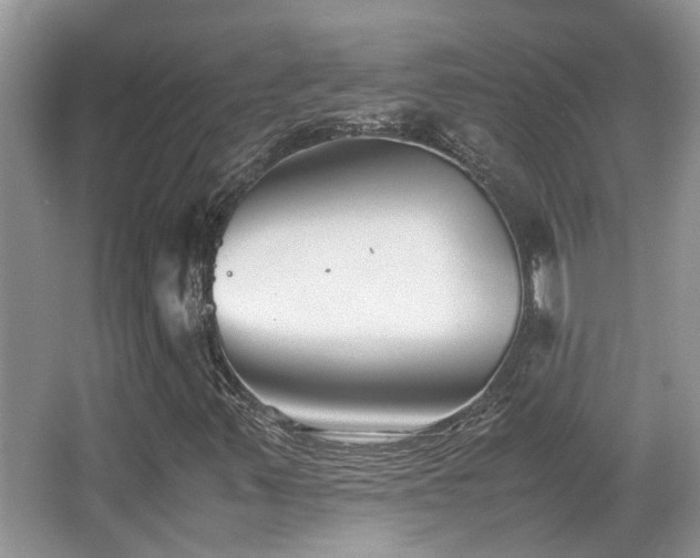 X0000066981347200603241226