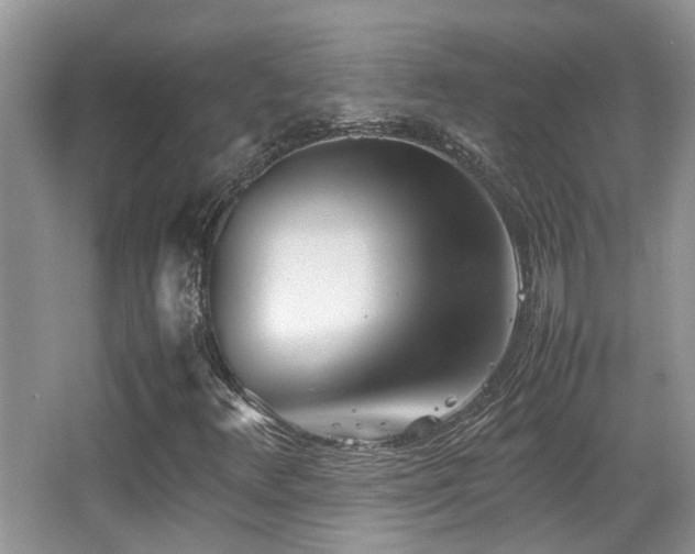 X0000066981348200603241226
