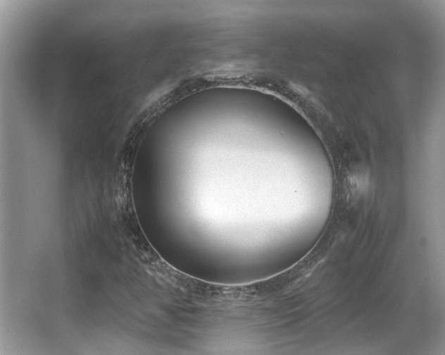 X0000066981350200603241226